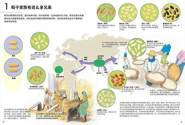 我的小小农场02